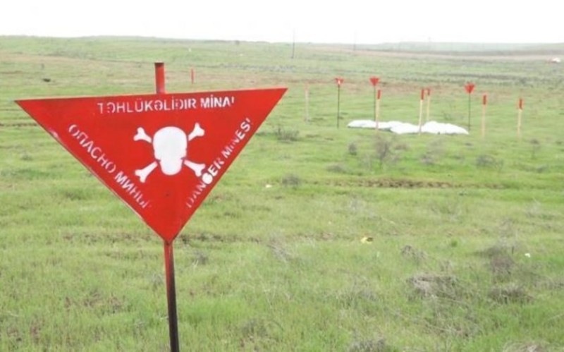 Ötən həftə 1300 hektardan çox ərazi minalardan təmizlənib