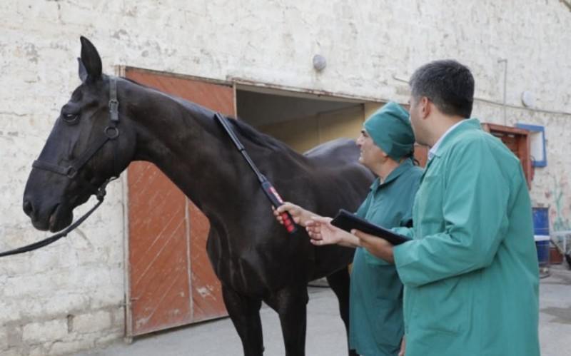 Xüsusi təhlükəli xəstəlikləri üzrə klinik müşahidələr aparılacaq
