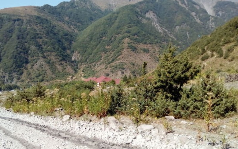 Astarada tur rəhbəri dağlıq ərazidə yıxılaraq ölüb
