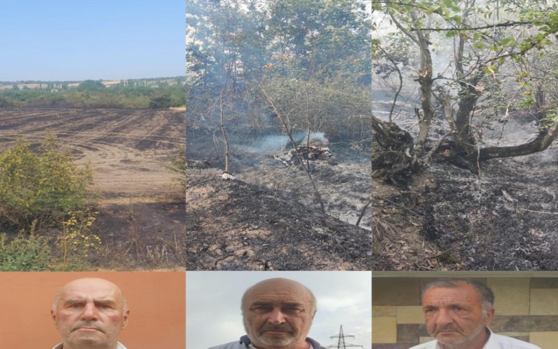 Qubada yanğın törədənlərdən biri həbs olunub, ikisi cərimələnib
