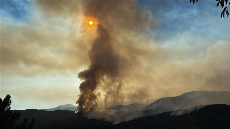 İspaniyada meşə yanğınları: 1500-dən çox insan təxliyə edildi