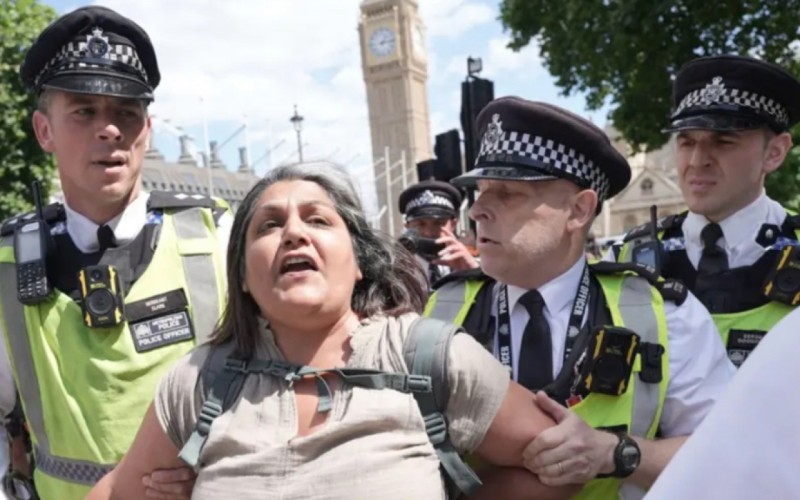 Londonda etirazlar - 50-dən çox şəxs saxlanıldı