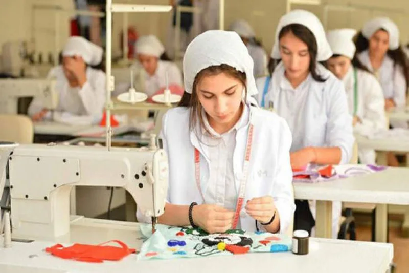 Peşə təhsili müəssisələrinə qəbul üçün müraciətlərin sayı açıqlandı