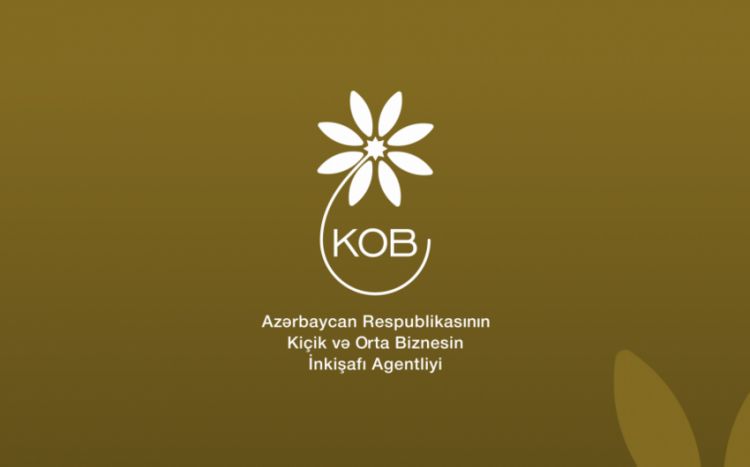 Azərbaycanda KOB subyektlərinin dövriyyəsi 10 % artıb