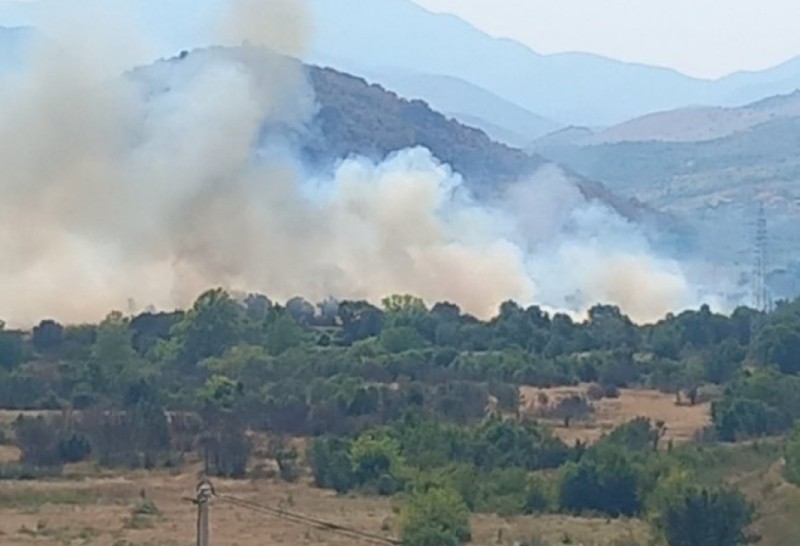 Bosniya və Herseqovinada meşə yanğını olub