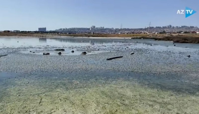 Adı sağlamlıq özü isə xəstəlik saçan “Yodlu göl” niyə bu haldadır? - VİDEO