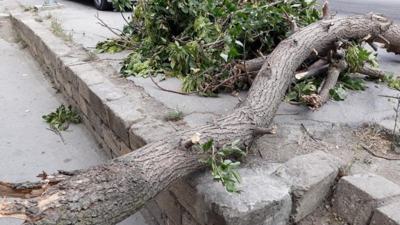 Ordubadda ağac qırılaraq sakinlərin üzərinə düşüb