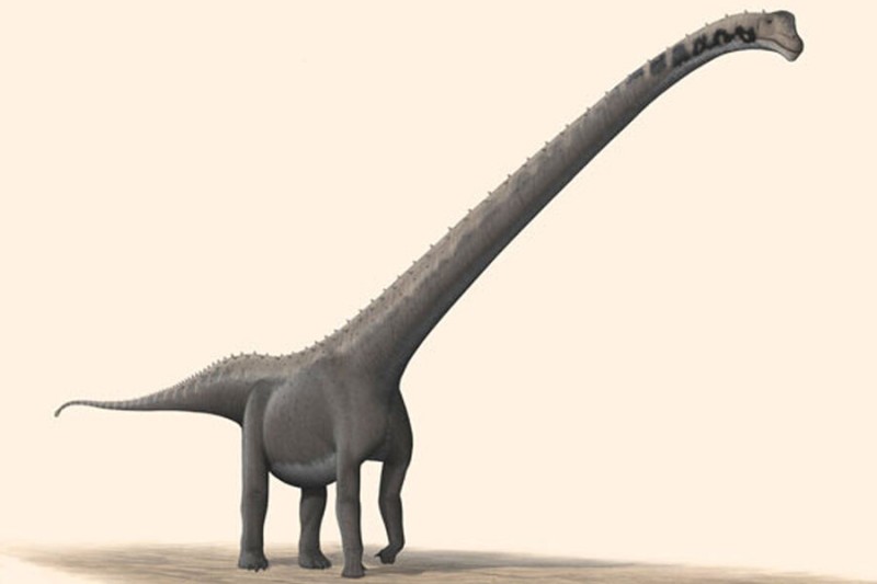 Çində dinozavrların yeni növü aşkar edildi