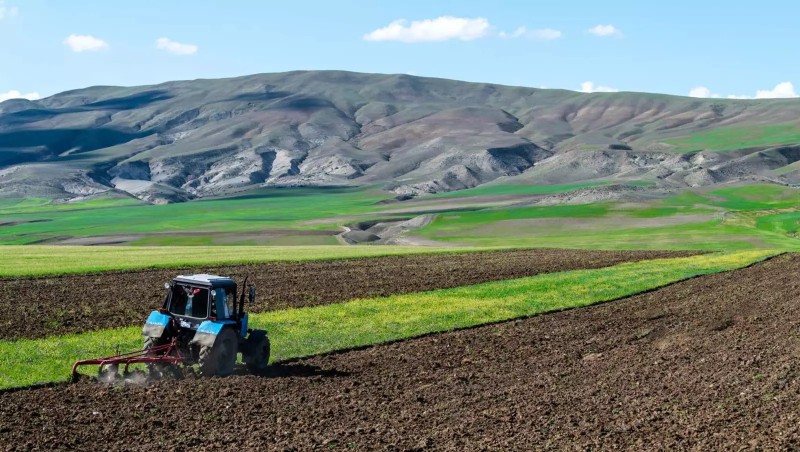 Naxçıvanın aqrar sektoru 1 %-dən çox kiçilib