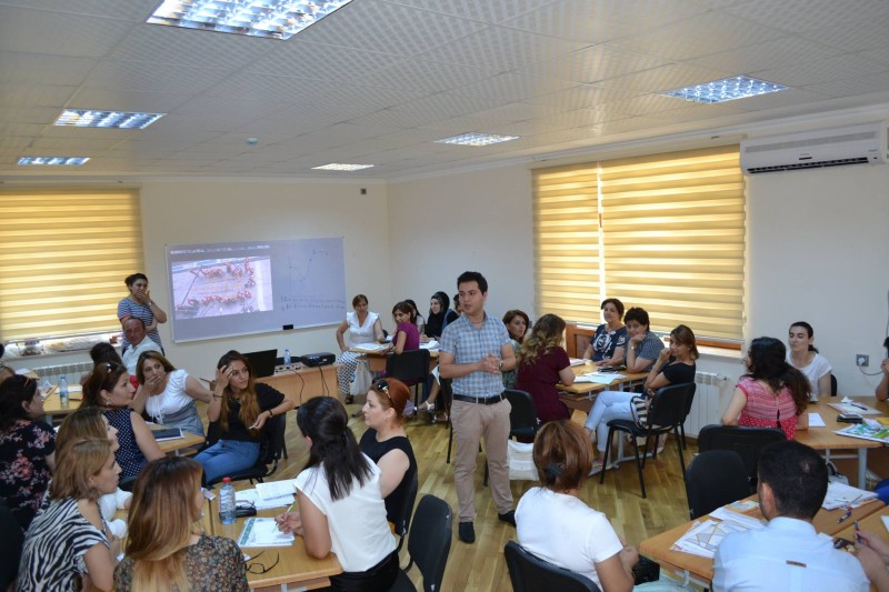 Müəllimlər üçün 317 nəfərlik metodik dəstək komandası yaradıldı