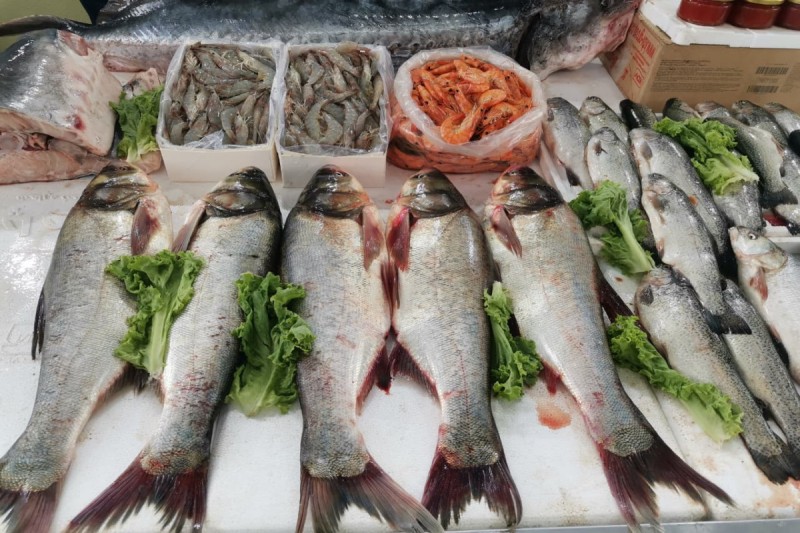 Bakıda balıq yarmarkası fəaliyyətə başlayıb