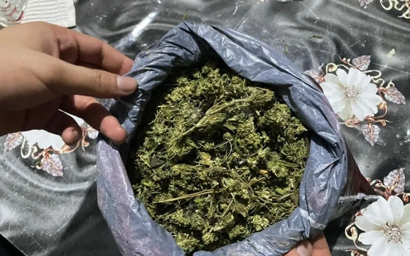 Son beş ildə aşkarlanan narkotik vasitələrin SAYI