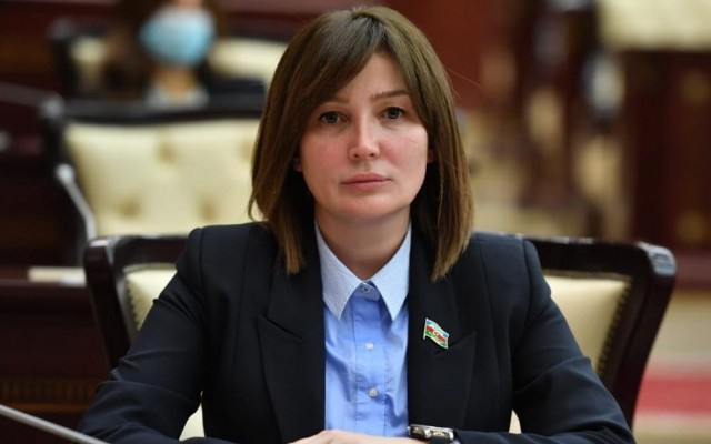 Sabiq xanım deputat və rəhbər şəxslər istefa verdi