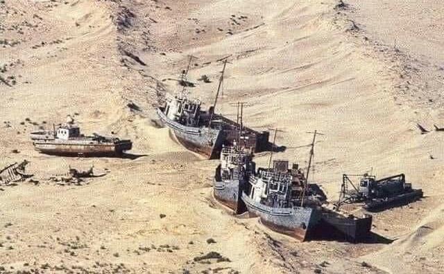 Türk ölkələri Aral gölünün qurumasını araşdıracaqlar