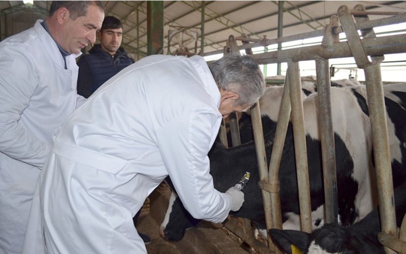 Baytarlıq ştampları ilə nişanlanma məcburi olacaq