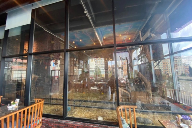 Vəhşi heyvanların qanunsuz saxlanıldığı daha bir restorana xəbərdarlıq edilib