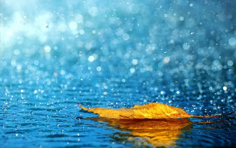 Bəzi ərazilərdə yağıntılı hava şəraiti davam edib