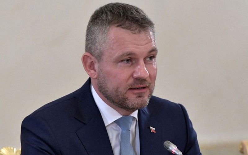Pelleqrini konstitusiyada iki cinslə bağlı müddəanı təsdiqlədi