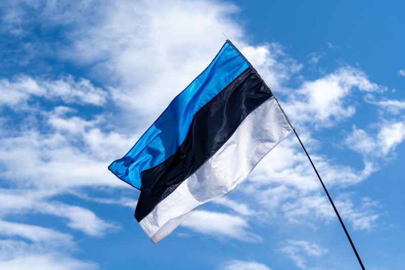 Estoniya dron əleyhinə divar tikməyi planlaşdırır