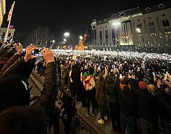 Gürcüstanda etirazçılar prezident sarayının ərazisinə giriblər