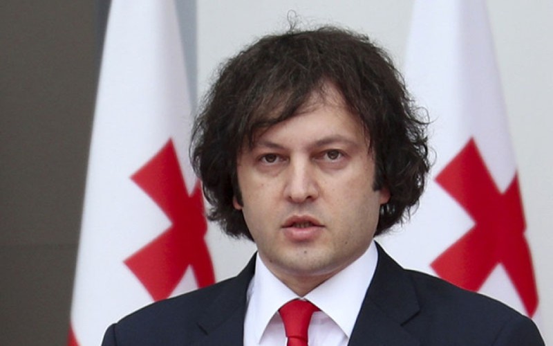 Aksiyaya əcnəbilər və diplomatlar dəstək verib - Kobaxidze