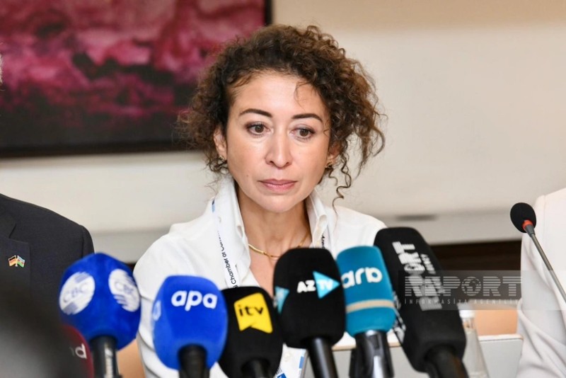Narqis Vik: Almaniya ilə Azərbaycan su və aqrar sektorlarda birgə layihələri müzakirə edir