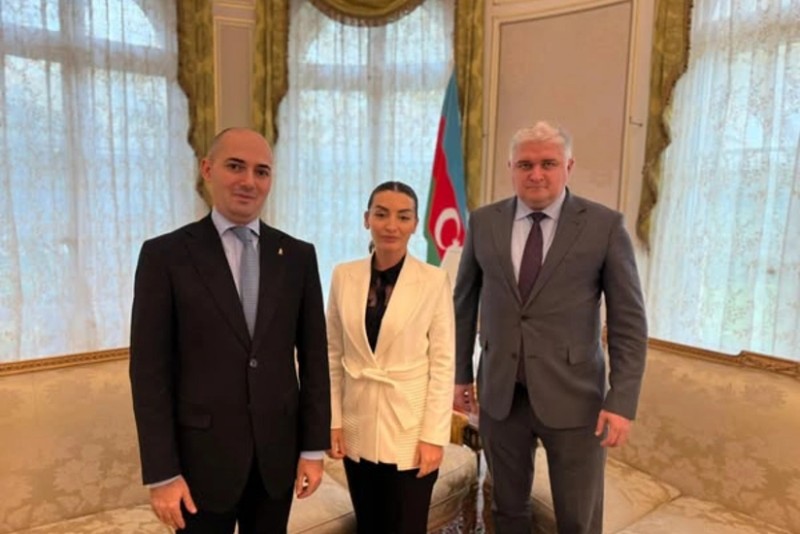 AFFA rəsmiləri Parisdə Azərbaycanın Fransadakı səfiri ilə görüşüblər