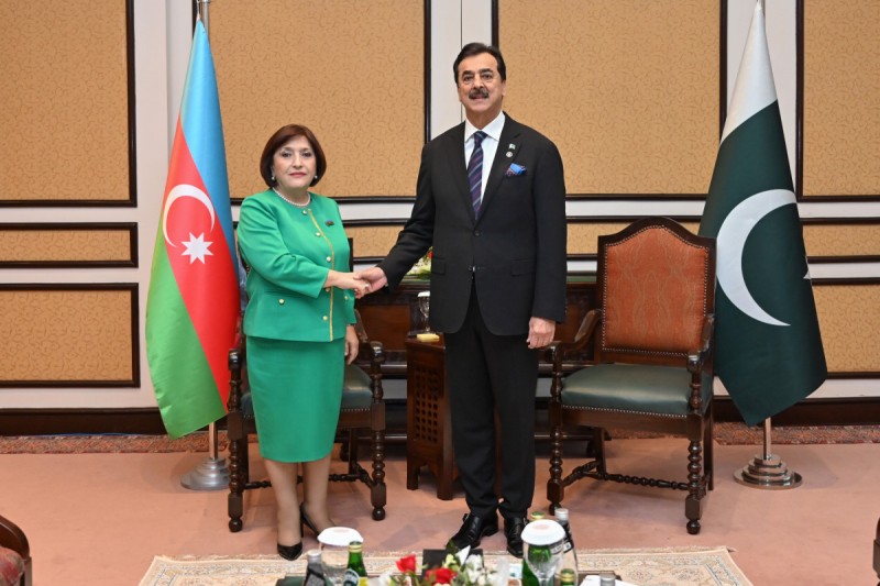 Sahibə Qafarova Pakistan Senatının sədri ilə görüşdü - FOTO