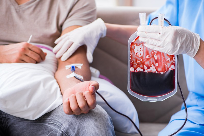 SN-nin canlısında donor qanından danışılacaq