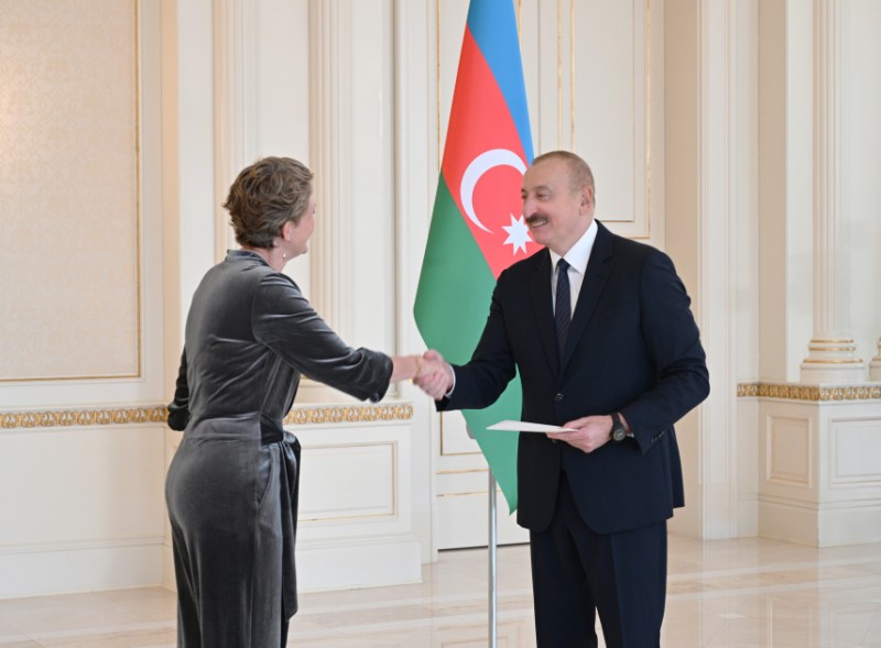 Prezident Niderland səfirinin etimadnaməsini qəbul edib - FOTOLAR