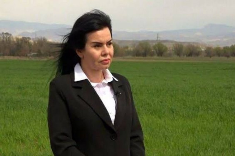 Naxçıvanda nazir müavini vəzifədən çıxarıldı