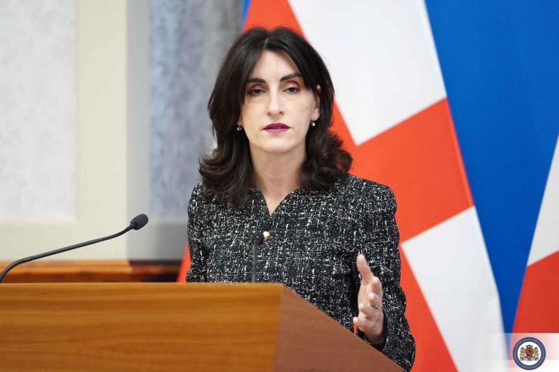 Heç kim bizi vizasız rejimin dayandırılması ilə qorxuda bilməz - Gürcü nazir