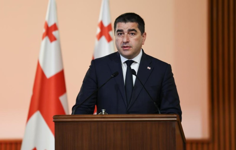 Gürcüstan parlamentinin spikeri: Aİ-ni ölkədəki terrorçuları dəstəkləyir