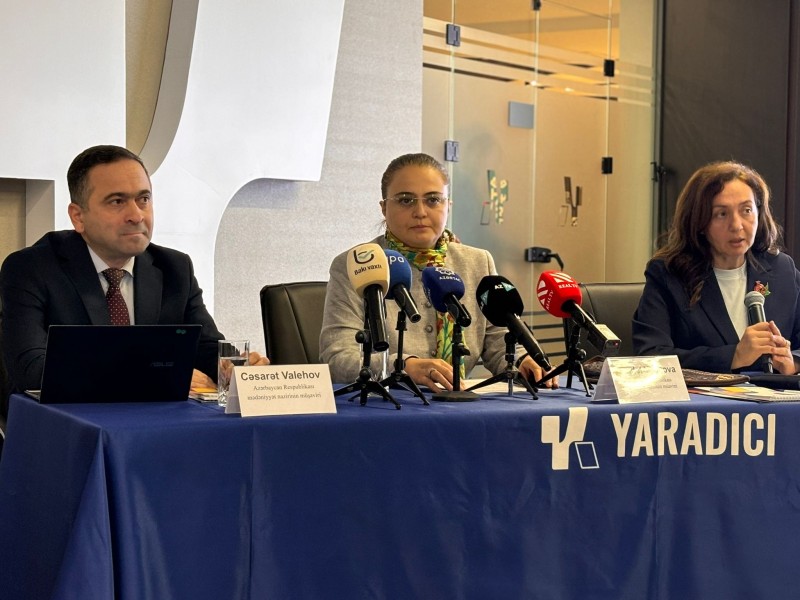 Müşavir: Azərbaycanda yaradıcı sənaye üçün kadr çatışmazlığı müşahidə olunur