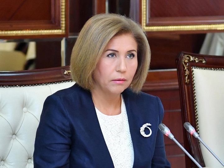 Komitə sədri: Bəzi bölgələrdə və ucqar kəndlərdə təhsilə çıxışda müəyyən çətinliklər var
