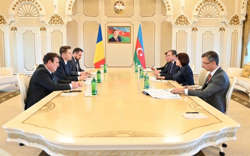Sahibə Qafarova rumıniyalı həmkarı ilə müzakirə apardı