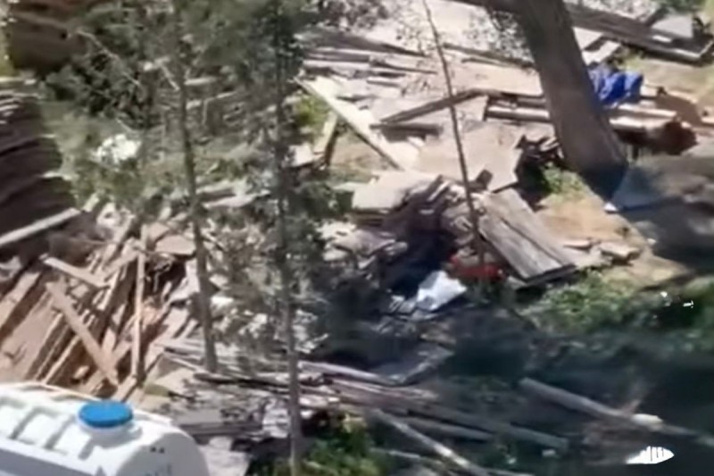 Sumqayıtda ağac kəsilməsi faktı üzə araşdırma aparılır - Fotolar