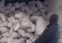 12 manata monqol əti Azərbaycan bazarını bürüyüb - VİDEO