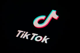 “TikTok”da saxta elanlar paylaşaraq vətəndaşları aldadan şəxs SAXLANILDI