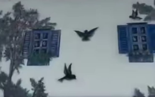 Zəngilandakı evinin divarında sənət əsəri yaratdı - VİDEO