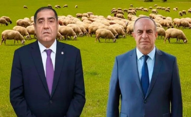 Həbs edilən icra başçıları şərik imiş