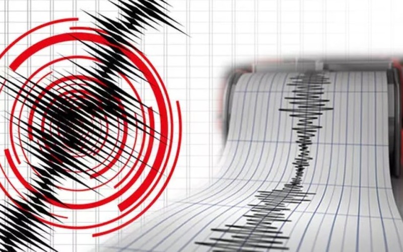 Gürcüstan-Ermənistan sərhədində zəlzələ oldu