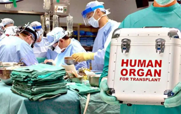 SN-nin canlı yayımında orqan donorluğu və transplantasiyasından danışılacaq