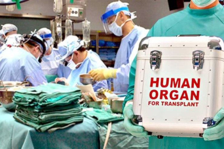 Necə donor olmaq olar? - ƏTRAFLI