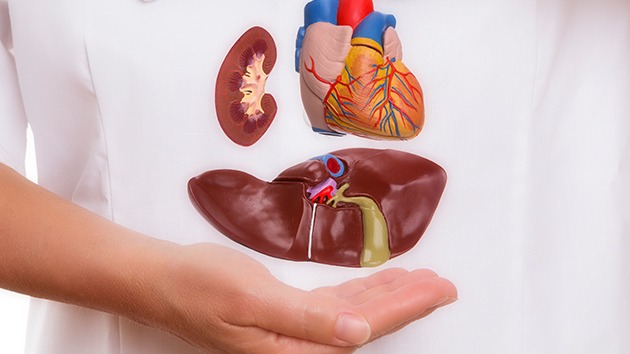 Ölümündən sonra orqanlarını bağışlamaq istəyənlər artır