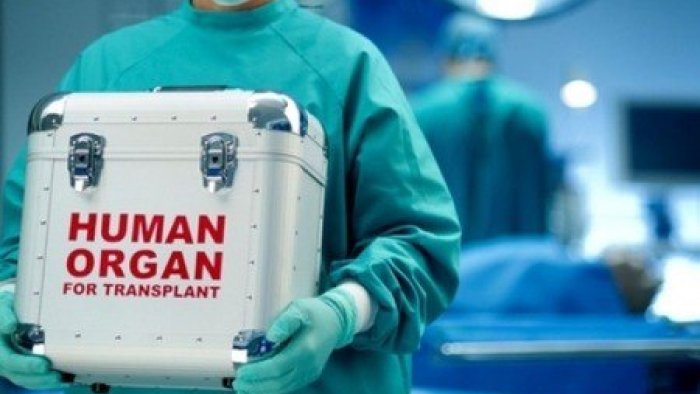 Bu deputat orqanlarını bağışlamaq istəyir - FOTO