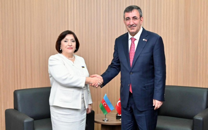 Sahibə Qafarova Türkiyənin Vitse-prezidenti ilə görüşdü