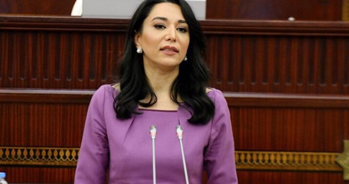 Ombudsman Milli Məclisdə vacib təkliflərlə çıxış etdi