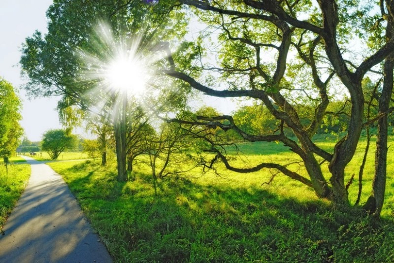 Sabah hava necə olacaq?