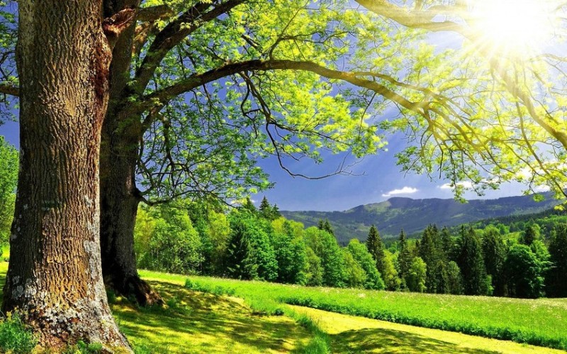 Sabah 21 dərəcə isti olacaq - PROQNOZ